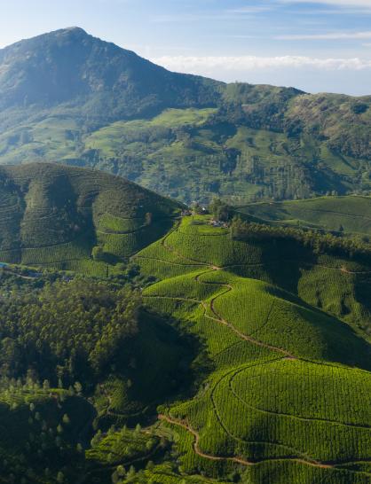 Hills